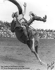 Dale Trottier - Bruce Stampede