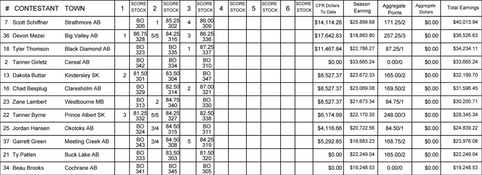 Bull Riding Aggregate
