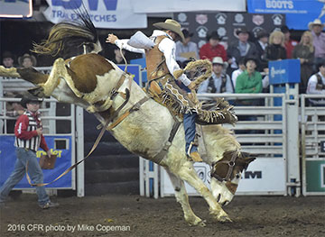 Clay Elliott - Outlaw Buckers' Lunatic Party