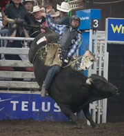 Vold's Proper Ripped