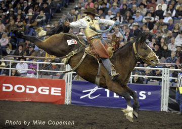 Sam Kelts - Pro Rodeo Canada Bronc Rider