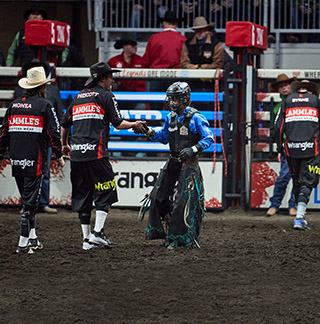 CFR Bullfighters
