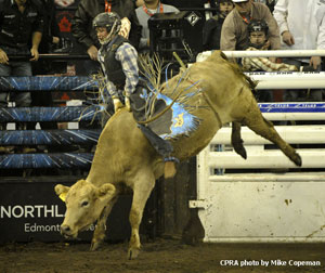 K'S Thomson - Rd 3 Steer Riding Winner
