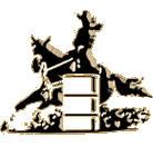 Ladies Barrel Racing